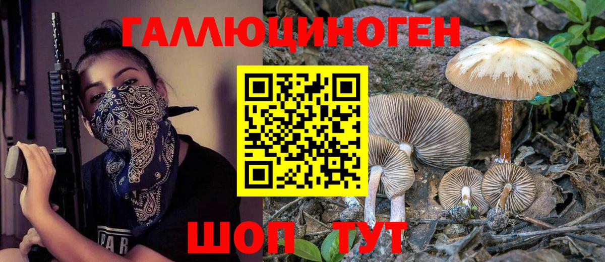 Сегежа  Галлюциногенные грибы GOLDEN TEACHER  Вход с VPN 